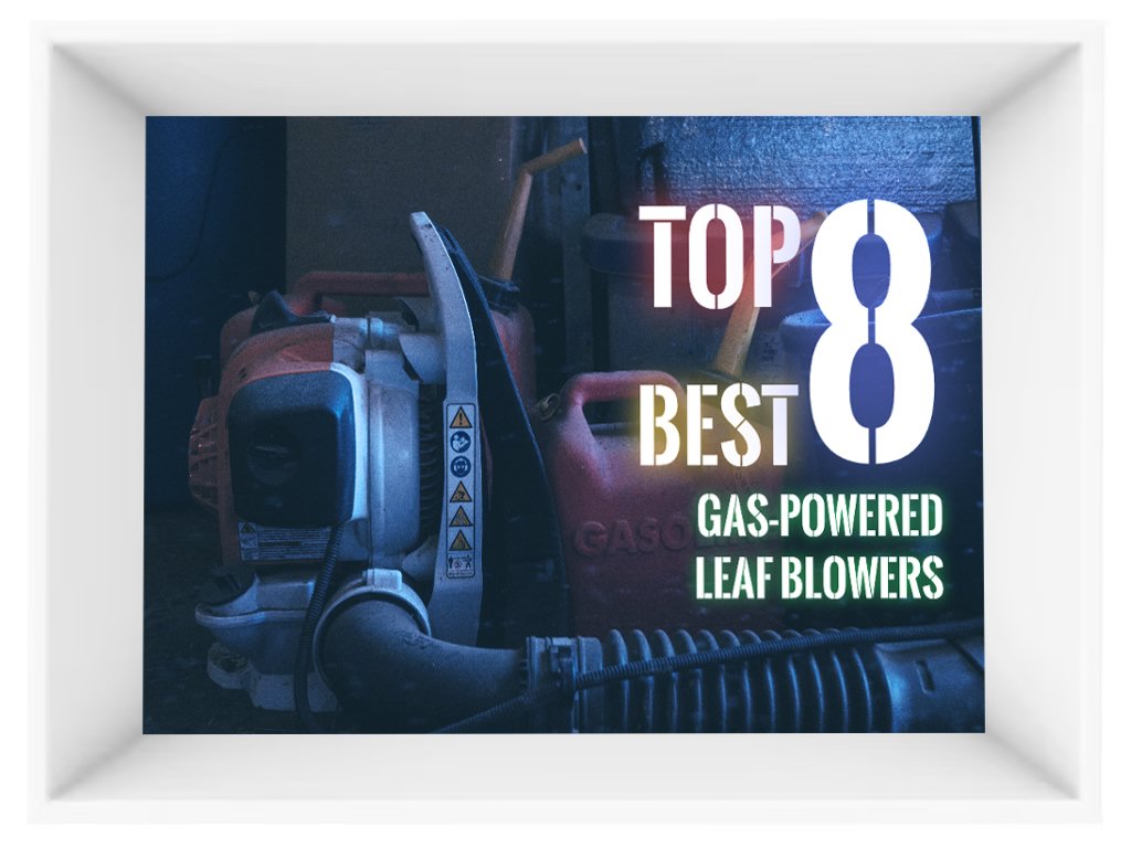 Best Gas-Powered Leaf Blowers